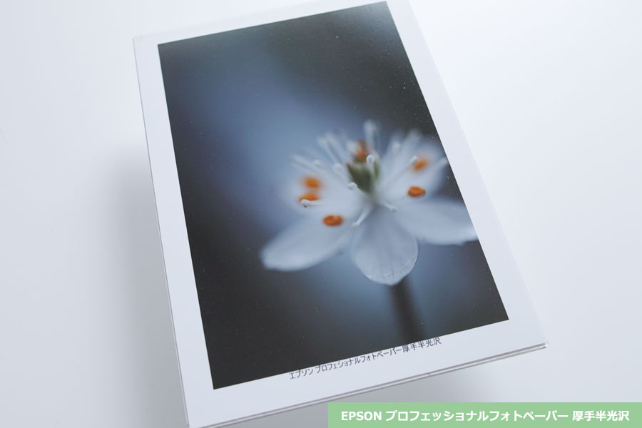 大判写真プリント 厚手半光沢
