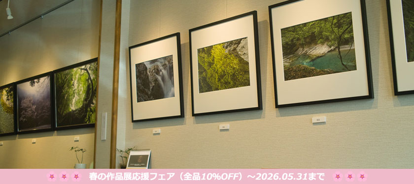 春の作品展応援フェア