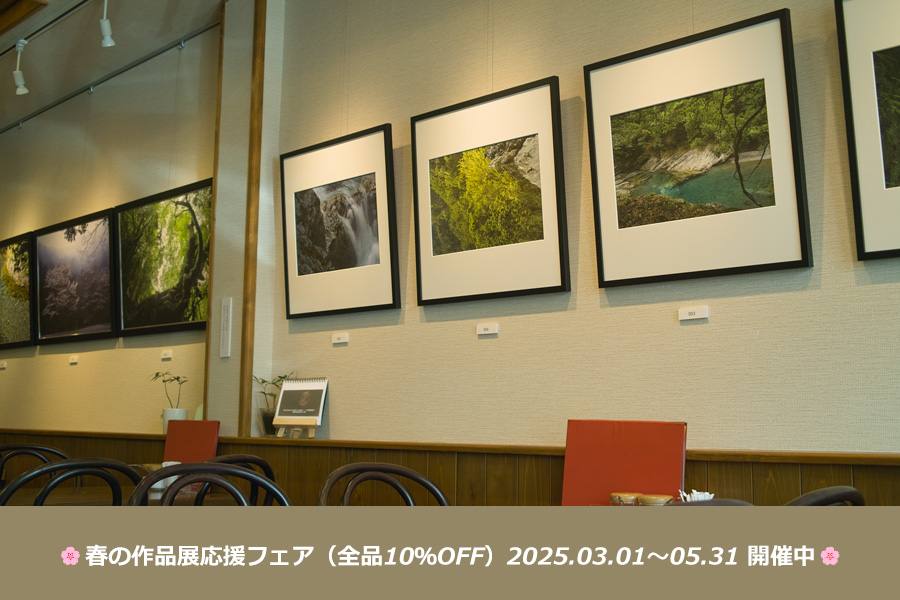 春の作品展応援フェア