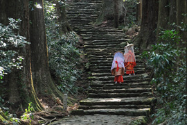 kazunori shimizu photography `ɂ̓E` ցEEE