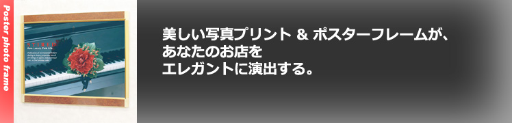 �|�X�^�[�t�H�g�t���[���g�b�v�C���[�W