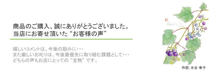 �ʐ^�v�����g�H�[ mikumano style�ɂ��񂹒��������q�l�̐��̂��Љ�
