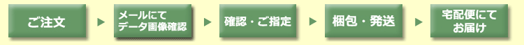 �唻�ʐ^�v�����gECO �������t���[