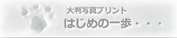 �唻�ʐ^�v�����g �͂��߂̈���E�E�E�ڍ׃y�[�W��