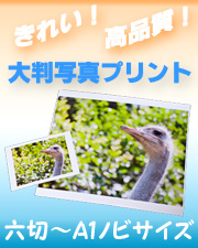 �唻�ʐ^�v�����g�C���[�W