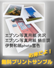 �v�����g�T���v���C���[�W