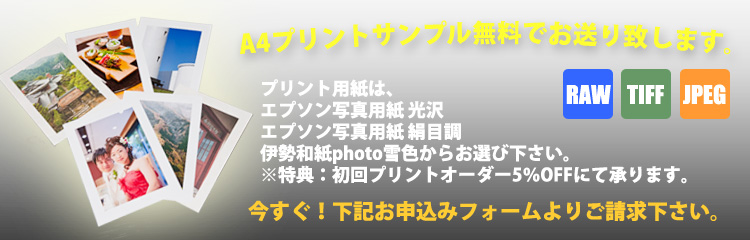 無料A4プリントサンプルイメージ